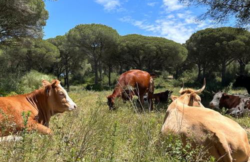 Casa ad Mare - Lujo & confort de hotel en villa privada - Foto 56