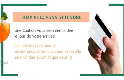 Télétravail pro - Calme, grand espace, plein centre - Photo 18