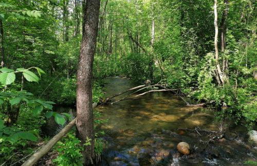 Zagroda nad Hańczą - Foto 40