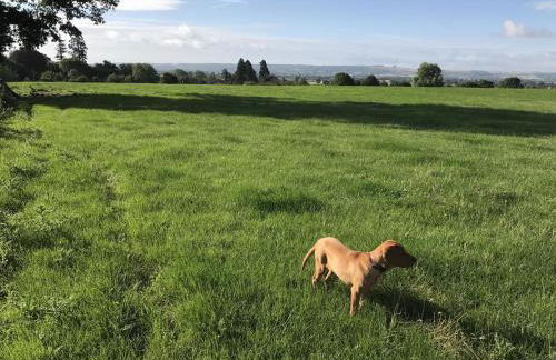 Rew Farm Country and Equestrian Accommodation - Sunset Lodge - Photo 42