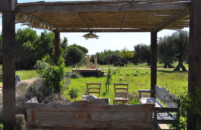 Azienda Agricola Spirdo - Foto 40