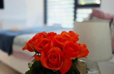 Apartament Mono Ełk CENTRUM - Foto 21