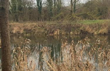 Urlaub am Fluss im historischen Altenburschla - Foto 11