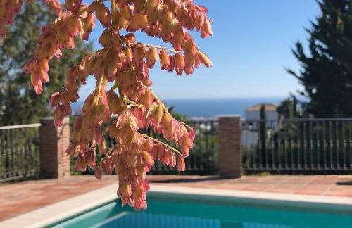 10-12-bed house in Nerja Frigiliana, Costa del Sol - Photo 39