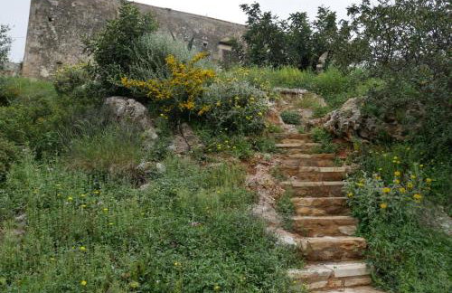 Tsikalaria Traditional Stone House - Photo 16