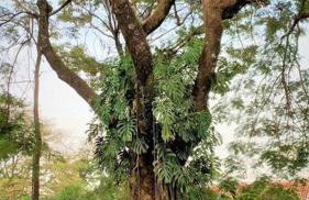 Bem-estar e boa localização (Apto Paraíso) - Foto 11