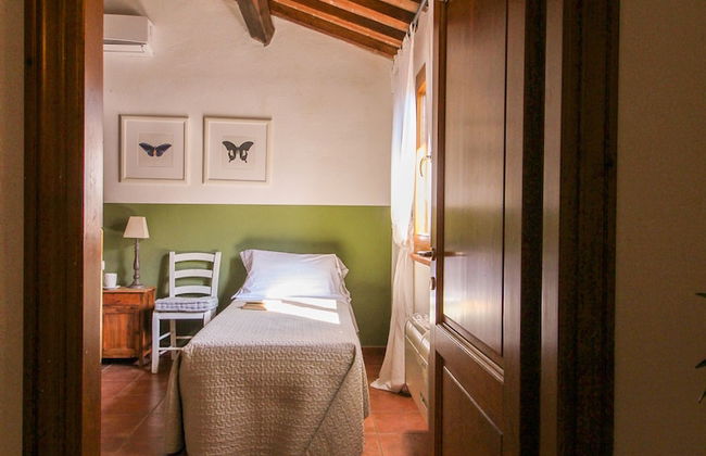 Boschi di Montecalvi - Foto 57