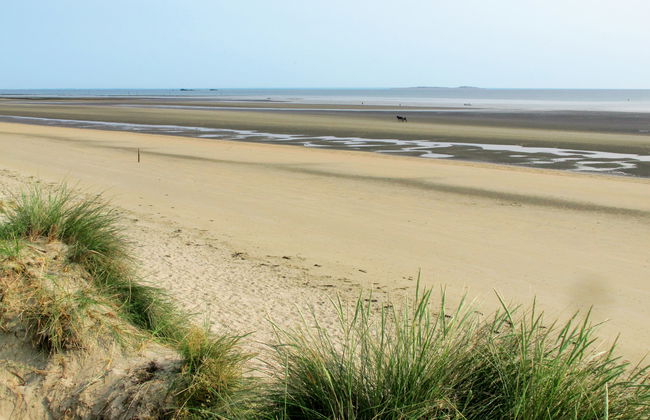 La Bedelle - Foto 17