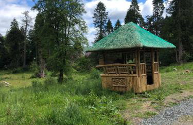 40 Glenfinart Caravan Park - Foto 21