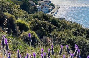 Villa Faros Vourkari Kea with private pool and stunning views - Foto 22