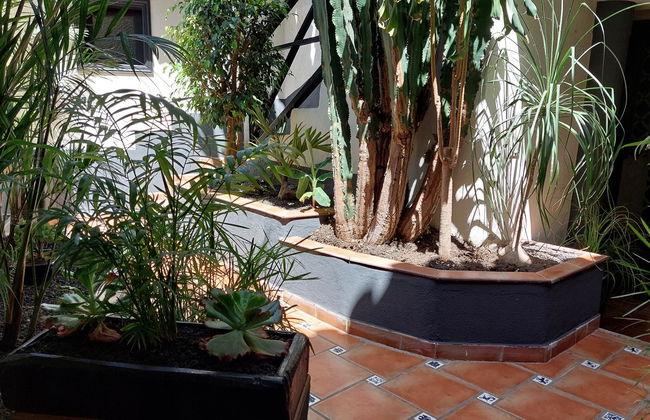 Apartamentos Monasterio de San Antonio - adults only - Photo 36