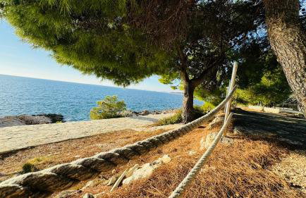 Apartman Kristina - Photo 53