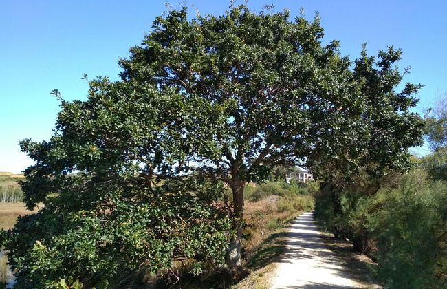 Casa de Verdes - In Cabana de Bergantinos - Photo 65