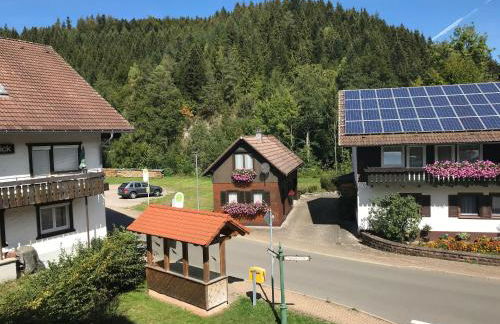 Ferienwohnung-Schoenmuenzblick-Urlaub-im-Nationalpark-Schwarzwald-Schwarzwald-Plus-inklusive - Photo 28