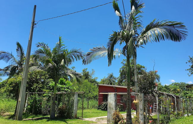 Casa Vermelha - Photo 20