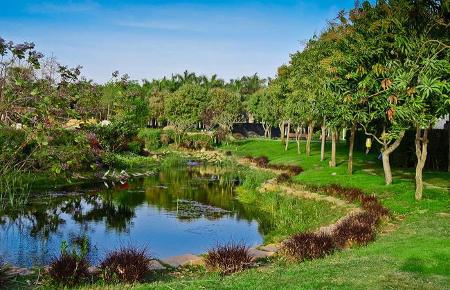 Night Tour of Al-Azhar Park & Dinner - Photo 6