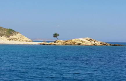 Studio Katerina - Foto 44