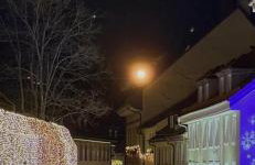 Große FeWo in zentraler Lage in Tiengen - Foto 3