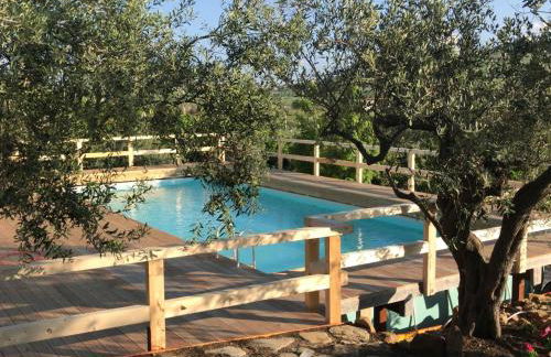 Villa in Alia With Pool & Olive Views - Foto 23