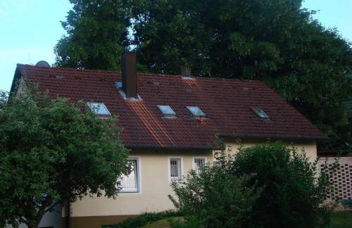 Goldener Fuchs in Moschendorf - Foto 6