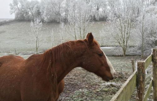 Gîte de la Roseraie - Foto 39