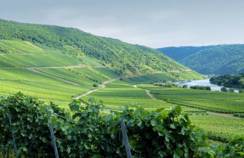 Ferienwohnung Weber - Foto 13