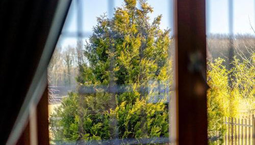 Bluebell Lodge-Uk32958 - Foto 3