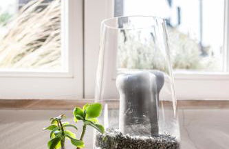 Haus am Stadttor - Foto 55