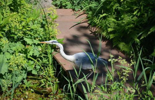 Holiday Apartment Anderewelt-bochum - Foto 30