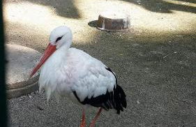 Fleur de Vigne - Foto 38