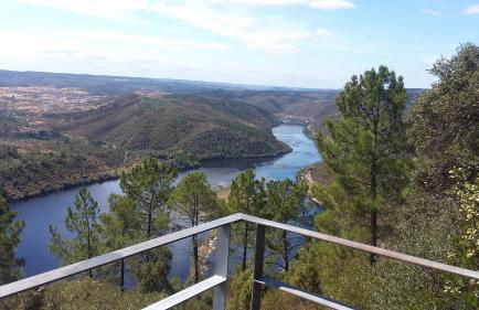 Casas dos Carregais - Foto 8