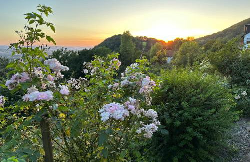 Villa Schaumburg - Boutique Hotel - Foto 11