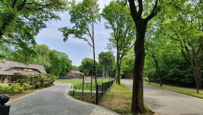 Lüneburger Heide - Ferienwohnung am Höpen - Foto 4, Garden, Garden view