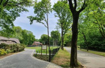 Lüneburger Heide - Ferienwohnung am Höpen - Foto 4