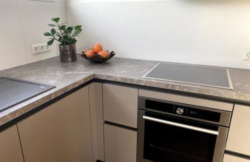 Airport-Messe Luxuswohnung, circa 10 Minuten entfernt 4 - Foto 39