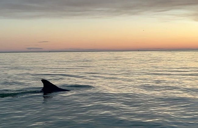 25840 Dolphin Way Of Hickory 204 2 Bedroom Condo - Photo 18