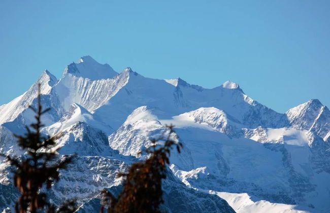 Bärgblüemli EG Süd - Foto 24