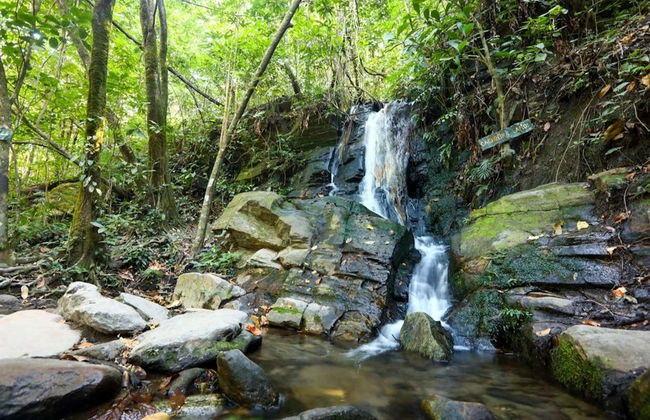 Bonsucesso Waterfalls Hike - Foto 2