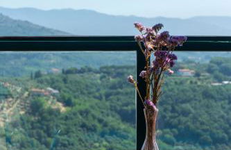 Montecatini Alto Art View - Foto 11