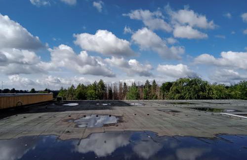 Wohnung 416, Am Kurpark 3, 38700 Braunlage - Foto 6