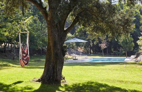 Casa da Oliveira - Foto 1