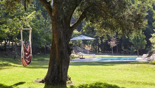 Casa da Oliveira - Foto 1, Garden