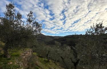 Spello Sant'Onofrio - Foto 32