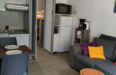 T2 familial 4-5 pers bord de la neste, parking privé gratuit - Foto 4