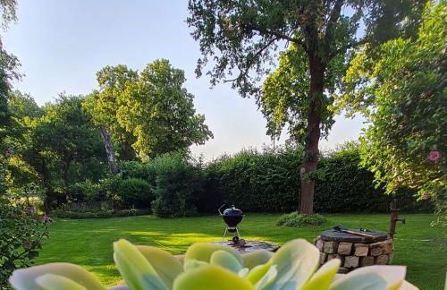 Mutti 's Landhof - Foto 5