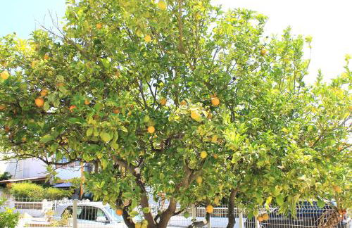 Casa do Limoeiro - Foto 39