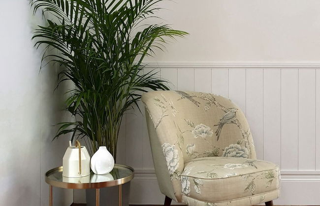 Trindade Premium Apartments Porto Centre - Foto 3