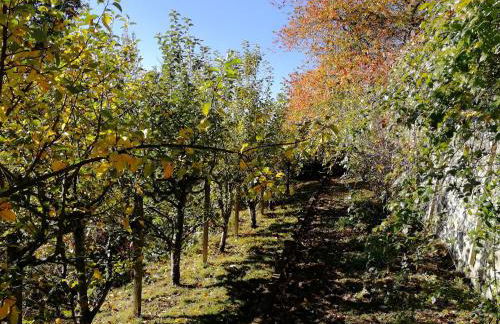 Beautiful Listed Mansion with incredible woodland views - Photo 17