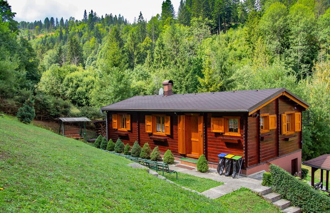 Drevenice Oscadnica - Foto 1