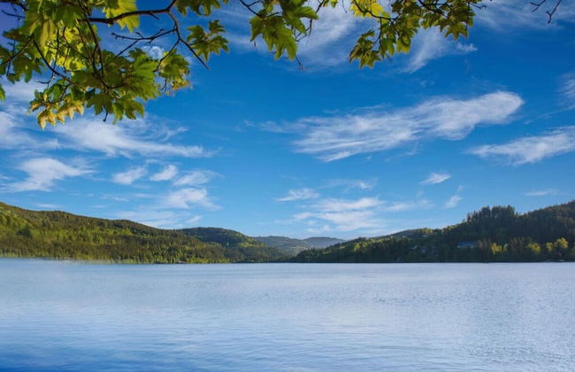 Holiday Home Scharzwald - Foto 19